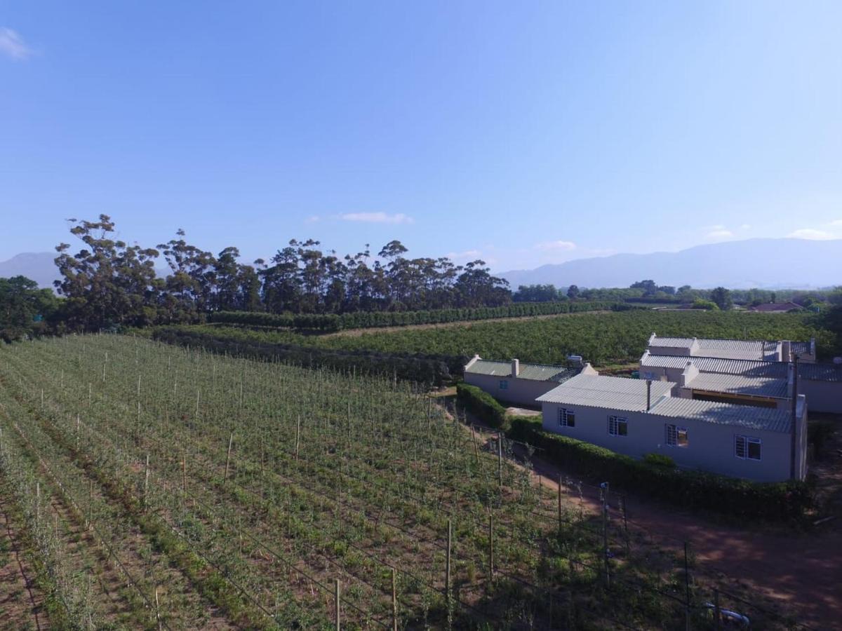 Moortop Cottages Elgin  Ngoại thất bức ảnh